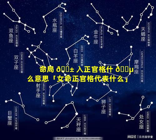 命局 🐱 入正官格什 🌵 么意思「女命正官格代表什么」